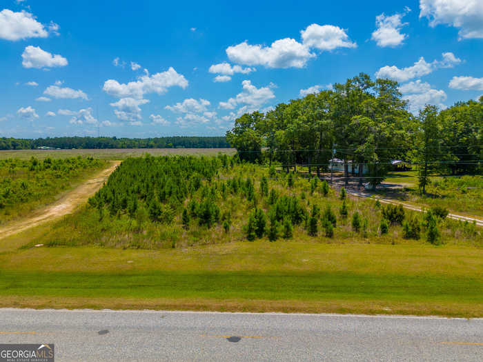 photo 6: TRACT 1, PHASE Lake Mayers Road, Baxley GA 31513