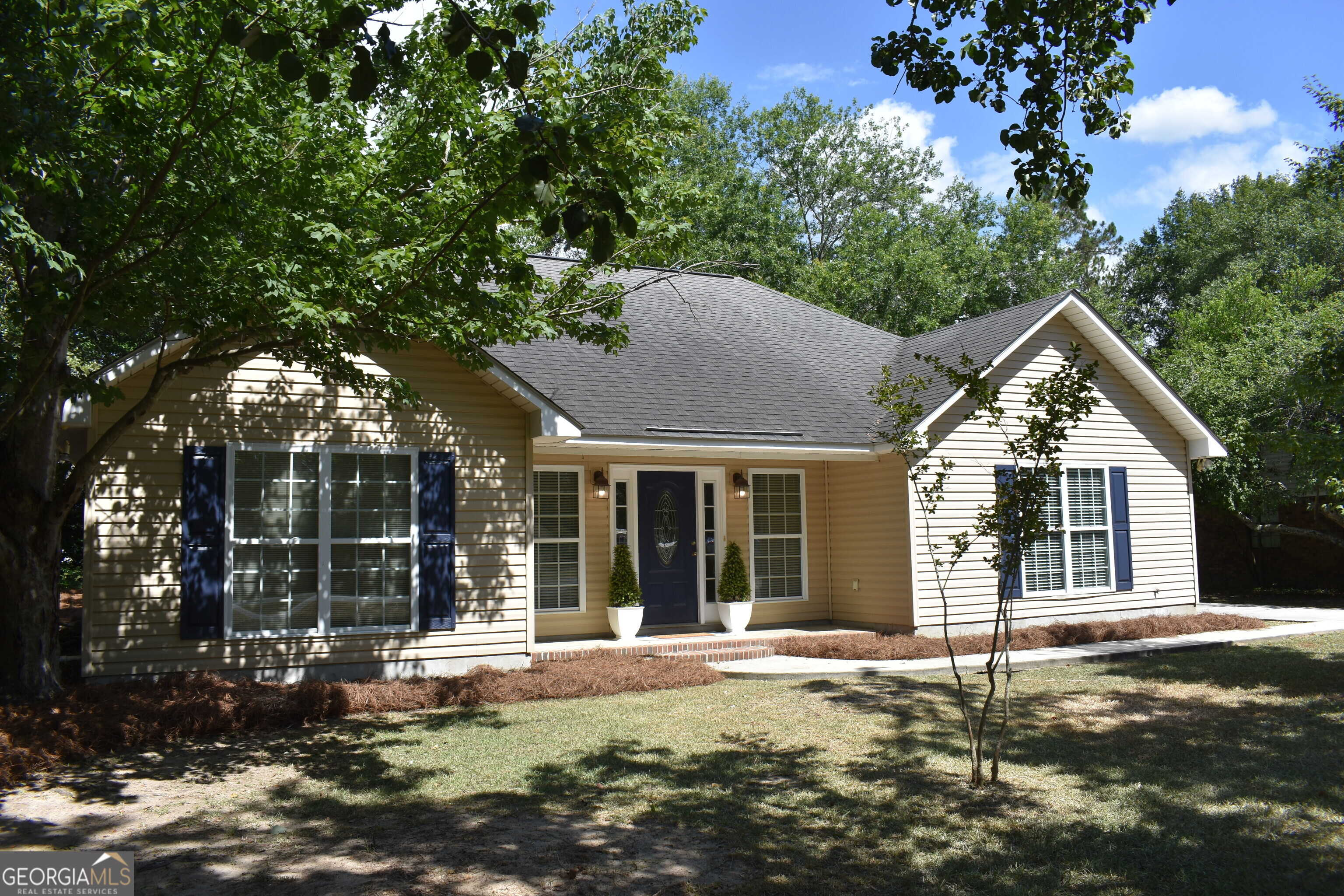 photo 3: 725 S Rountree Street, Metter GA 30439