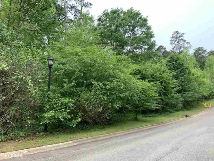 photo 1: 125 Greenview Terrace, Macon GA 31220