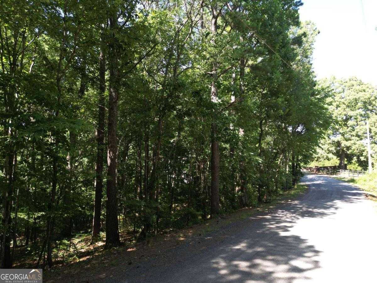 photo 2: Thomas Road, Dallas GA 30132