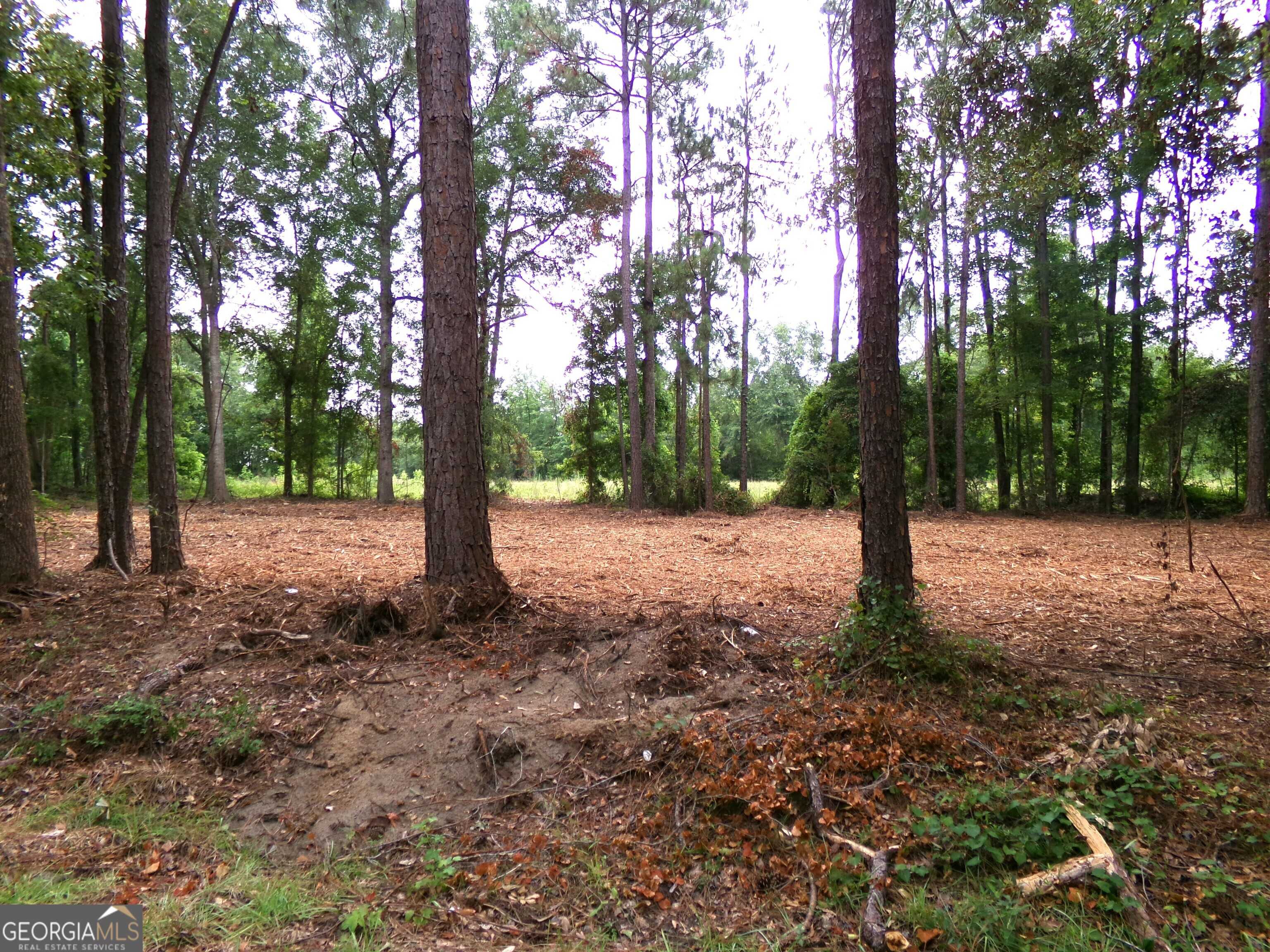 photo 2: MODOC RD, Swainsboro GA 30401