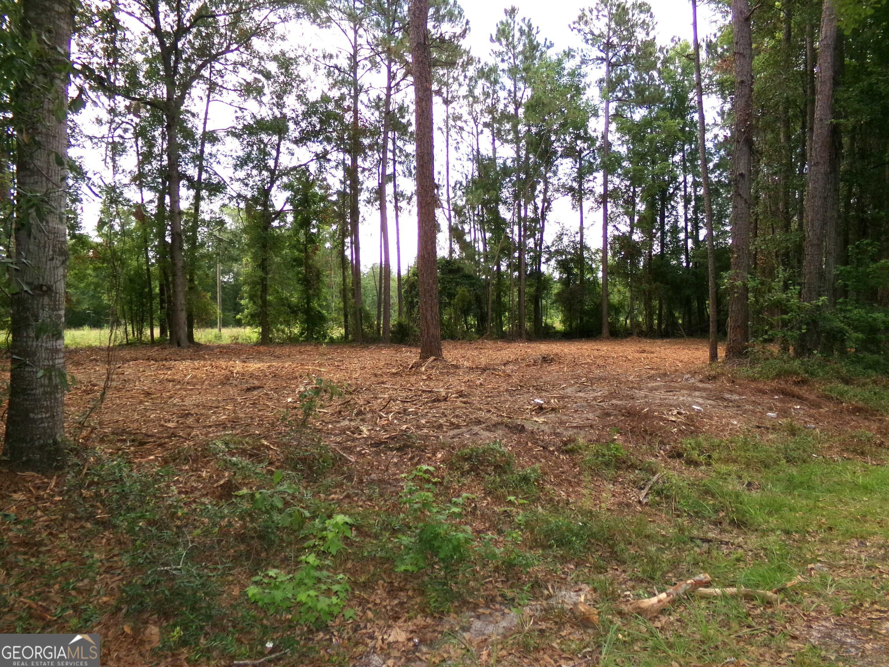 photo 3: MODOC RD, Swainsboro GA 30401