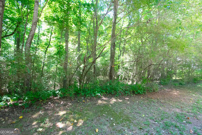 photo 5: Spring Forest Way, Sharpsburg GA 30277