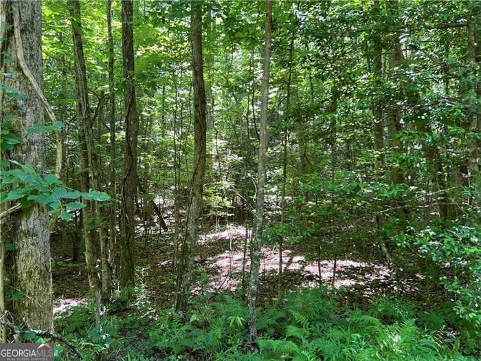 photo 16: LOT 2 River Highlands Road, Dahlonega GA 30533