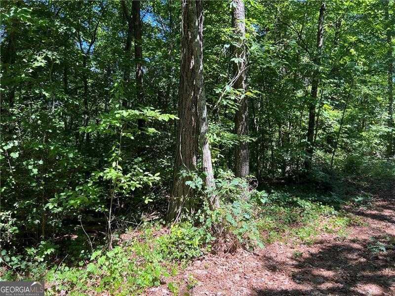 photo 3: LOT 2 River Highlands Road, Dahlonega GA 30533