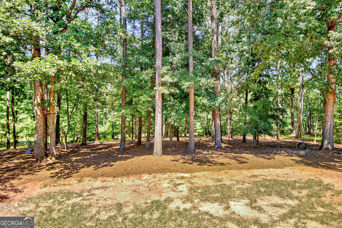 photo 74: 20 Jasmine Court, Newnan GA 30265