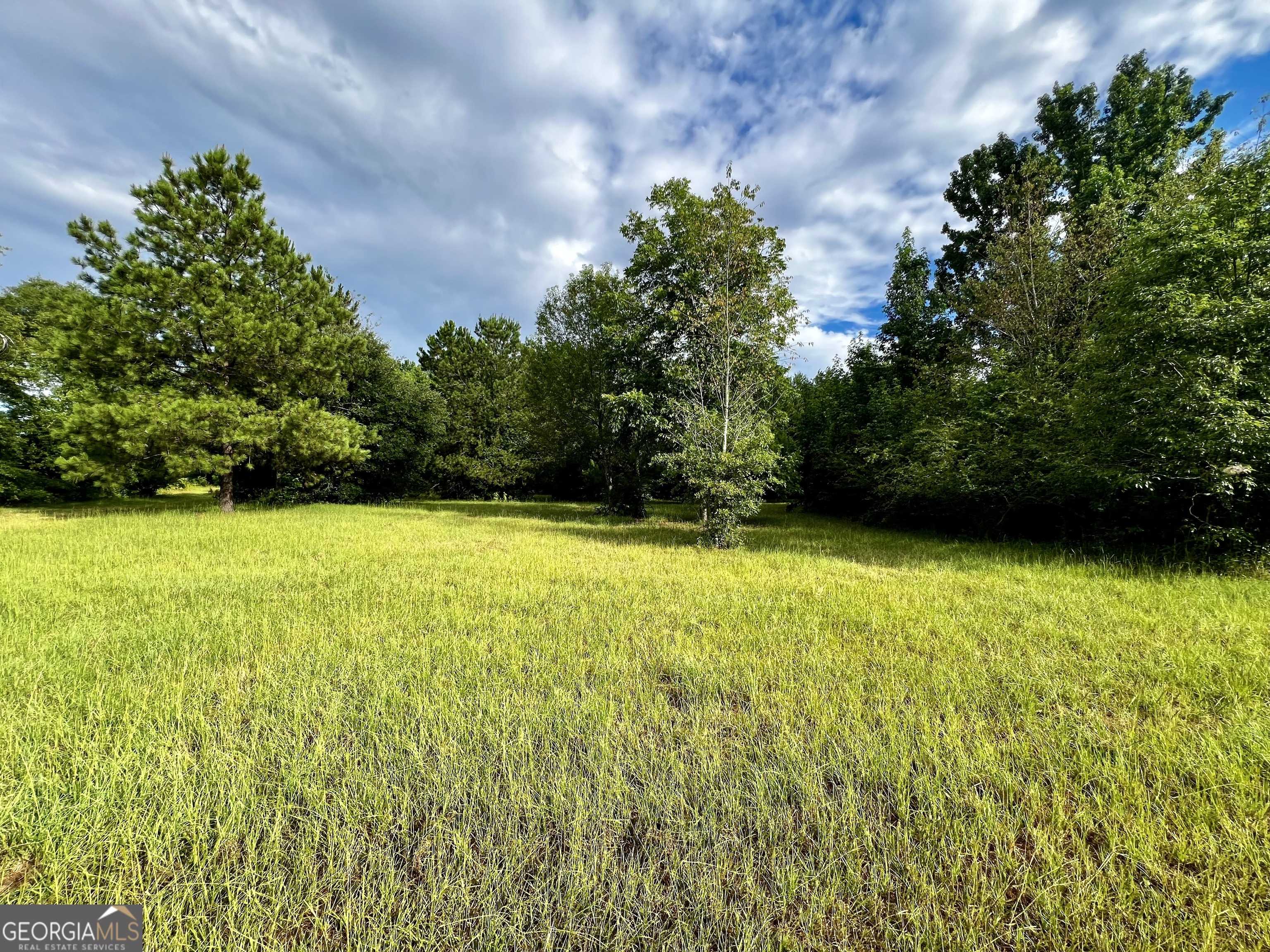 photo 2: Shady Grove Church Road, Dublin GA 31021