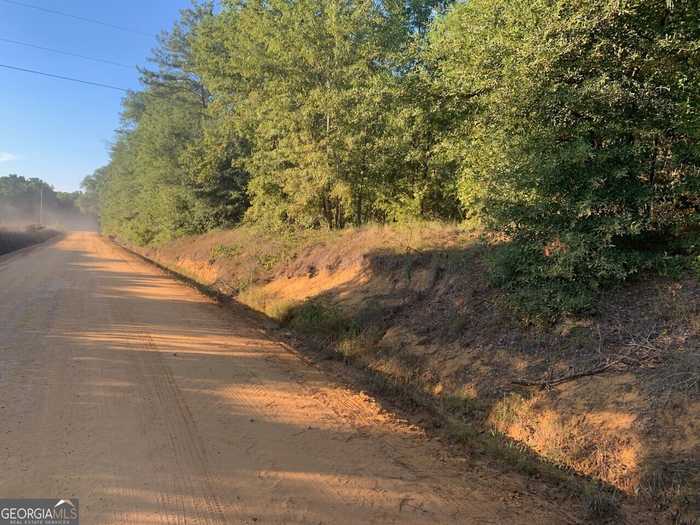 photo 1: - Laidler Road, Hawkinsville GA 31036