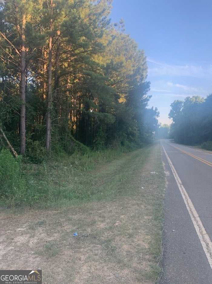 photo 2: - Laidler Road, Hawkinsville GA 31036