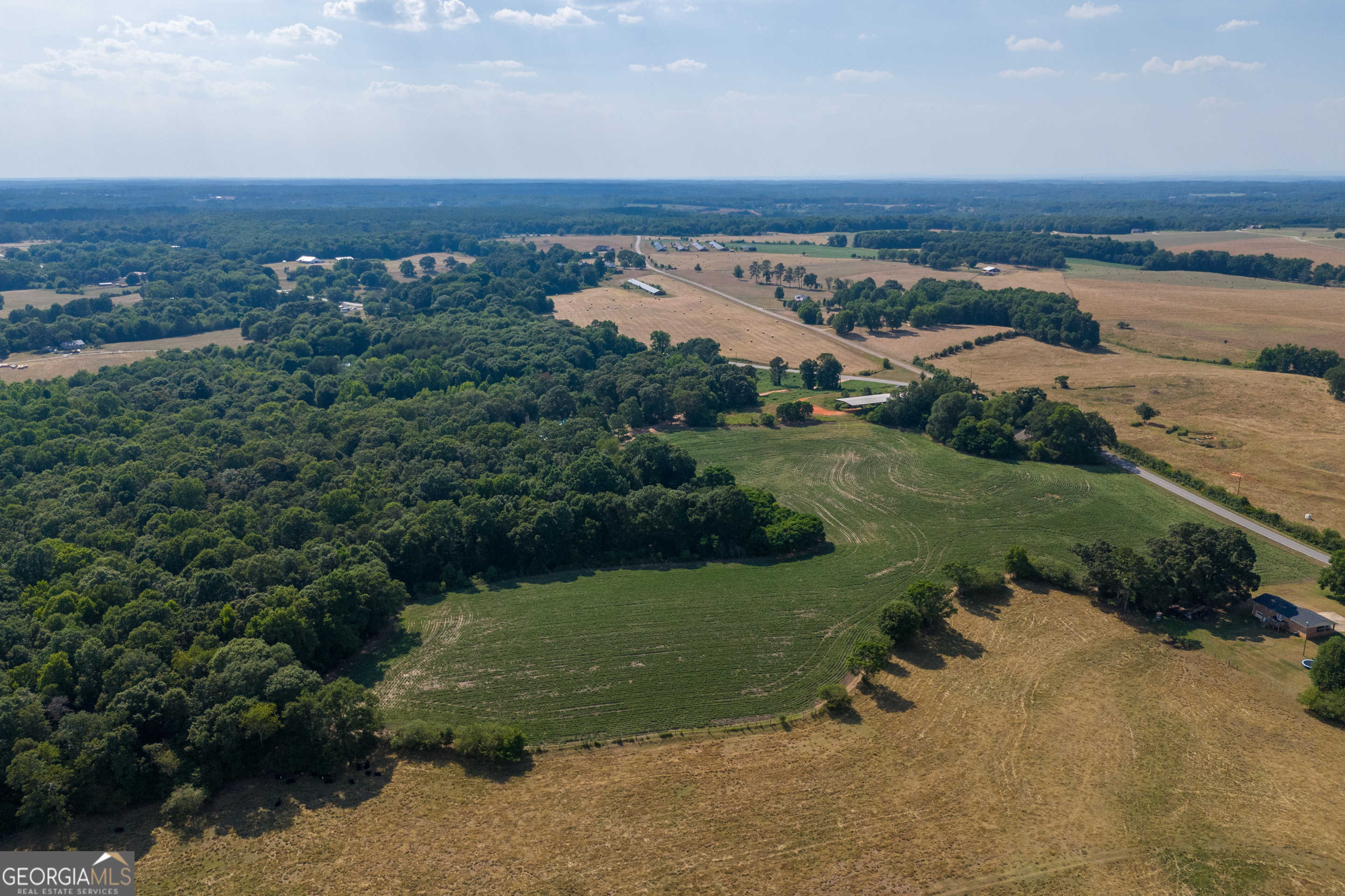 photo 3: Rogers Mill Tract 2 Road, Hull GA 30646