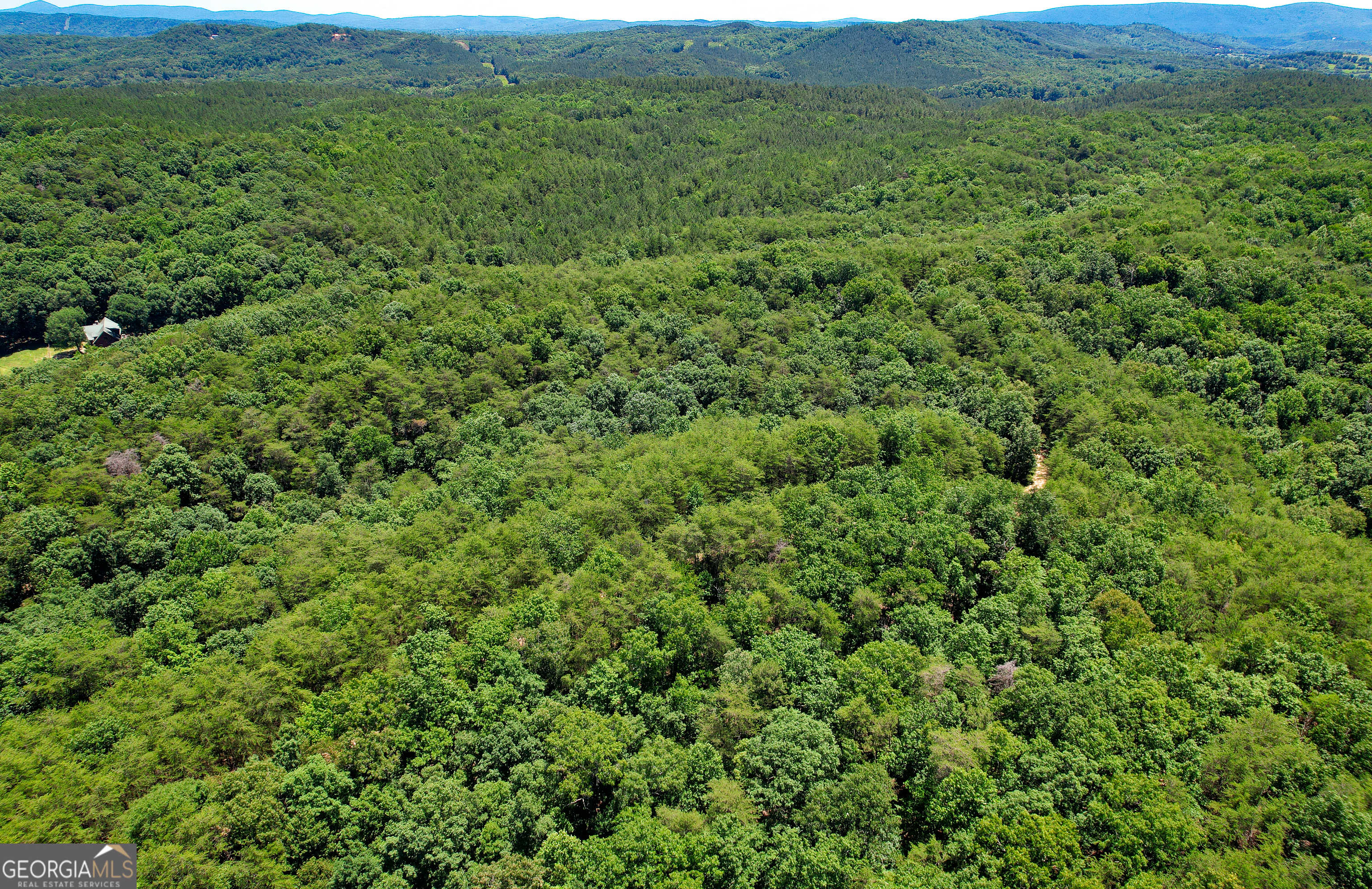 photo 1: 111 Acres off Slate Mine Road, Fairmount GA 30139