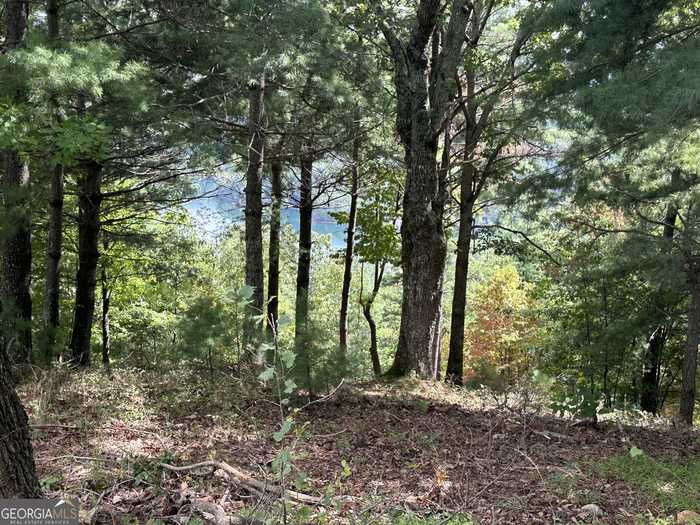 photo 2: Rabun Bluffs Dr, Lakemont GA 30552