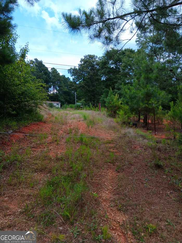 photo 2: 1066 River Road, Elberton GA 30635