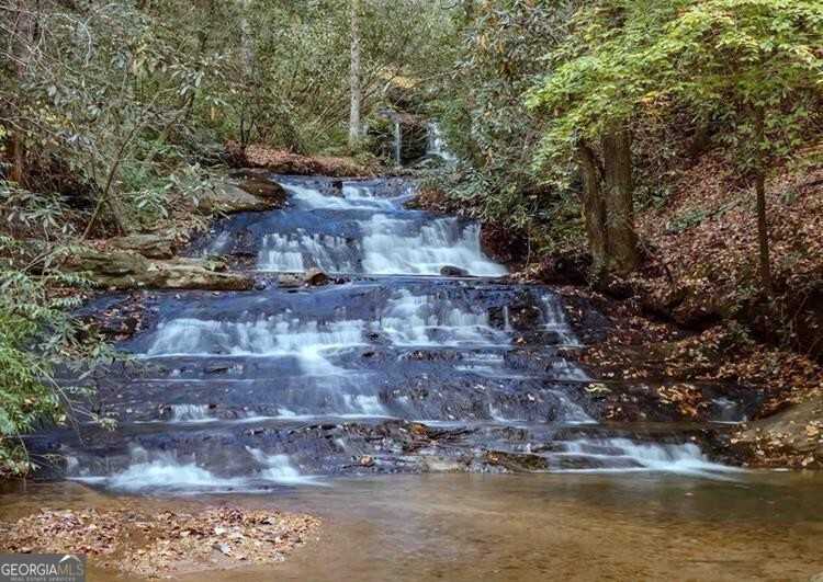 photo 3: Y40 Grimes Nose, 40Y, Sautee Nacoochee GA 30571