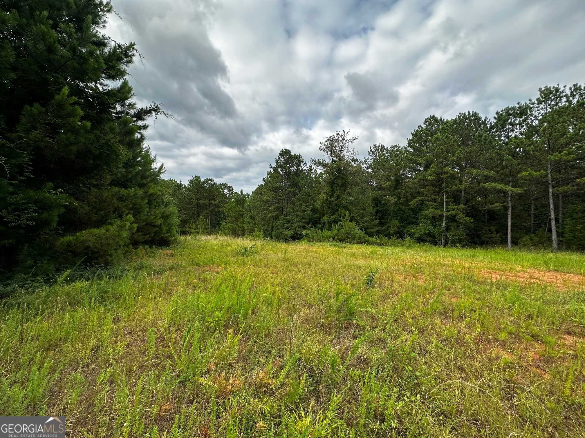 photo 1: Possum Trot Road, Barnesville GA 30204