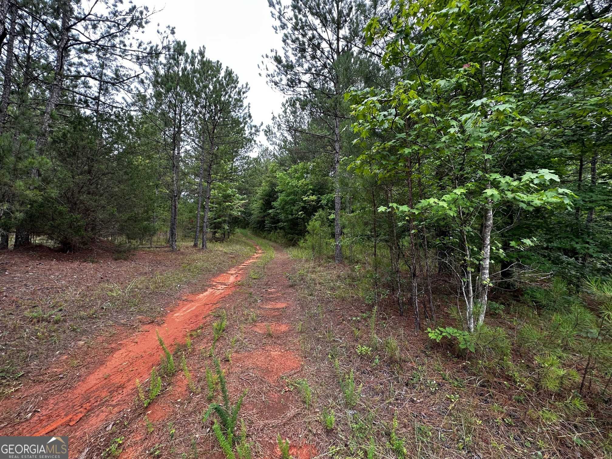 photo 3: Possum Trot Road, Barnesville GA 30204