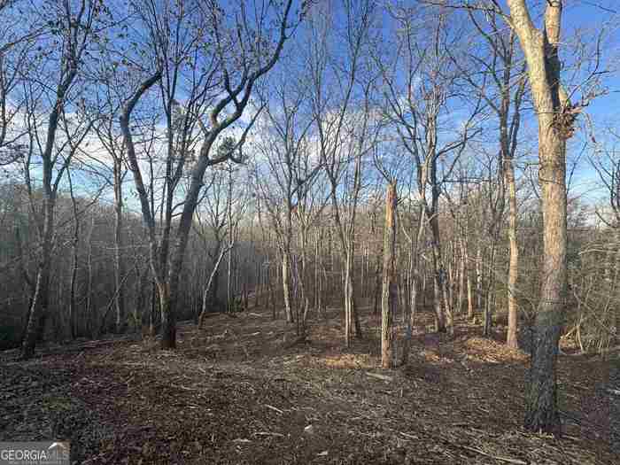 photo 1: LOT 57 Teel Mtn Drive, Cleveland GA 30528