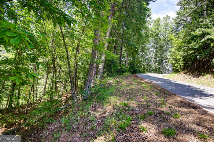 photo 1: Newport Drive, Ellijay GA 30540