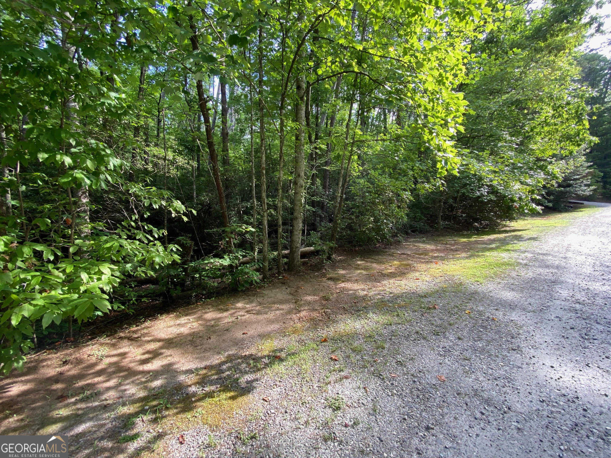 photo 1: Sara Lane Unit LOT 6, Sautee Nacoochee GA 30571