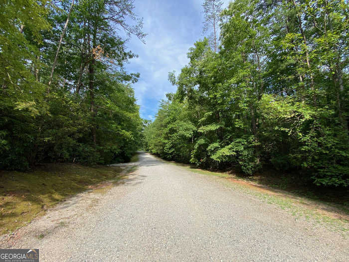 photo 12: Sara Lane Unit LOT 6, Sautee Nacoochee GA 30571