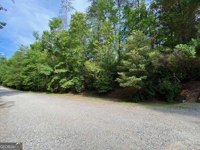 photo 2: Sara Lane Unit LOT 6, Sautee Nacoochee GA 30571