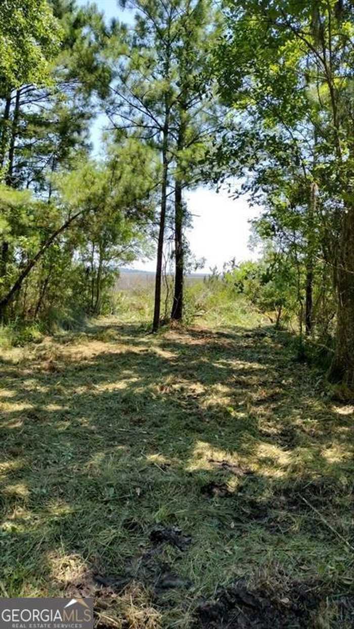 photo 2: Briar Patch Lot #15 Place, Townsend GA 31331