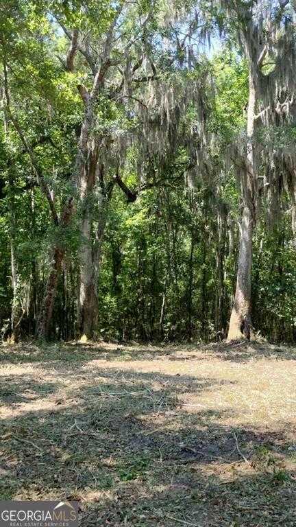 photo 1: N Briar Patch Lot #18 Place, Townsend GA 31331