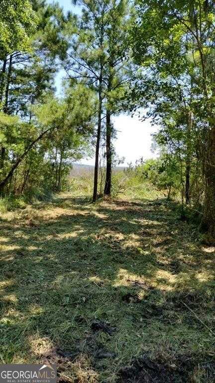 photo 2: Briar Patch Lot#27 Place, Townsend GA 31331