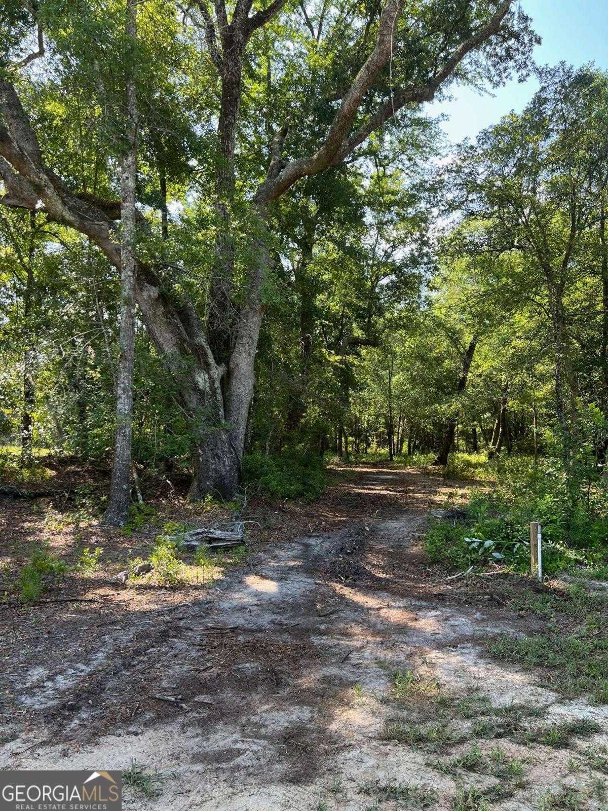 photo 2: Old River Road S, Brooklet GA 30415