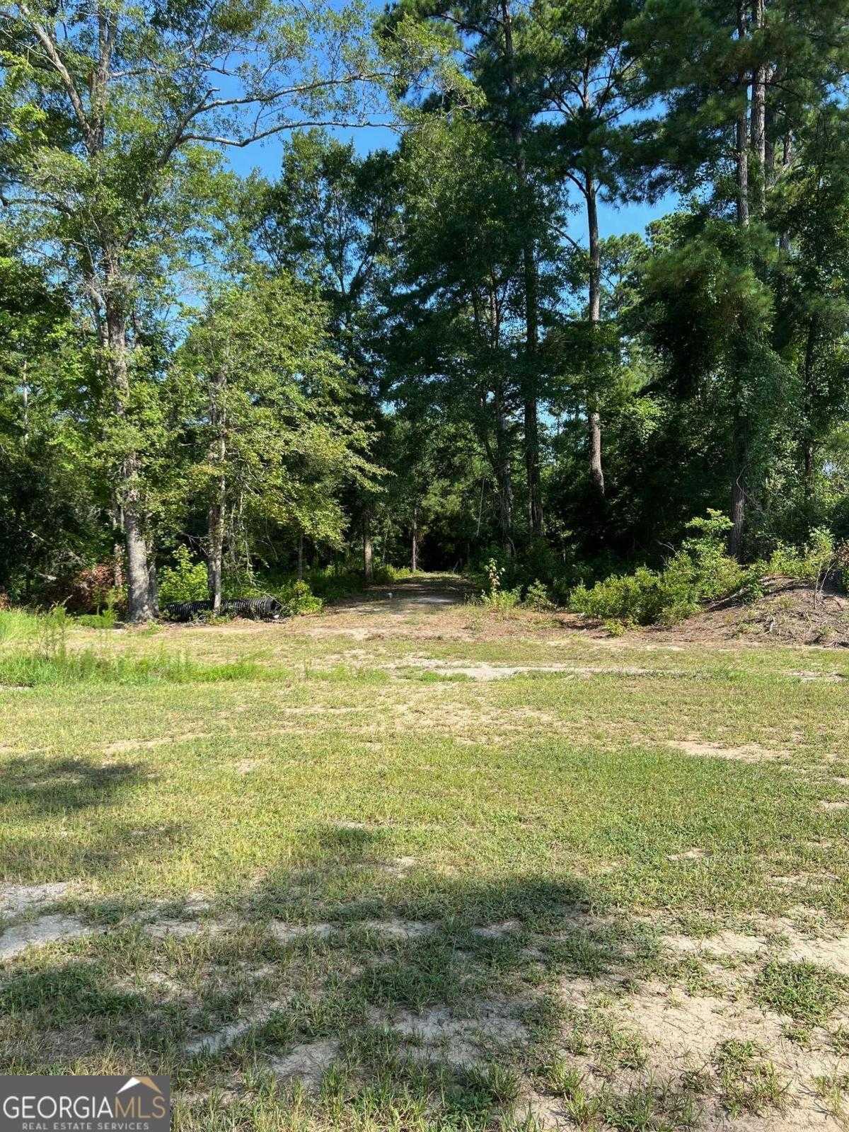 photo 3: Old River Road S, Brooklet GA 30415