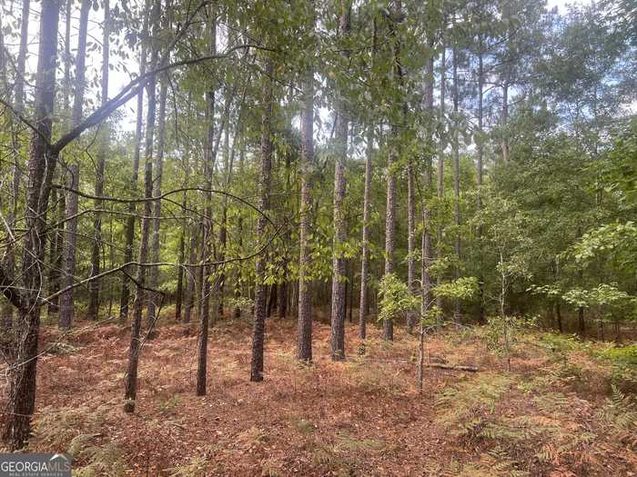 photo 1: Scuffletown Road, Twin City GA 30471