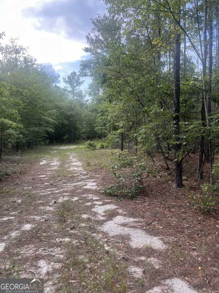 photo 2: Scuffletown Road, Twin City GA 30471