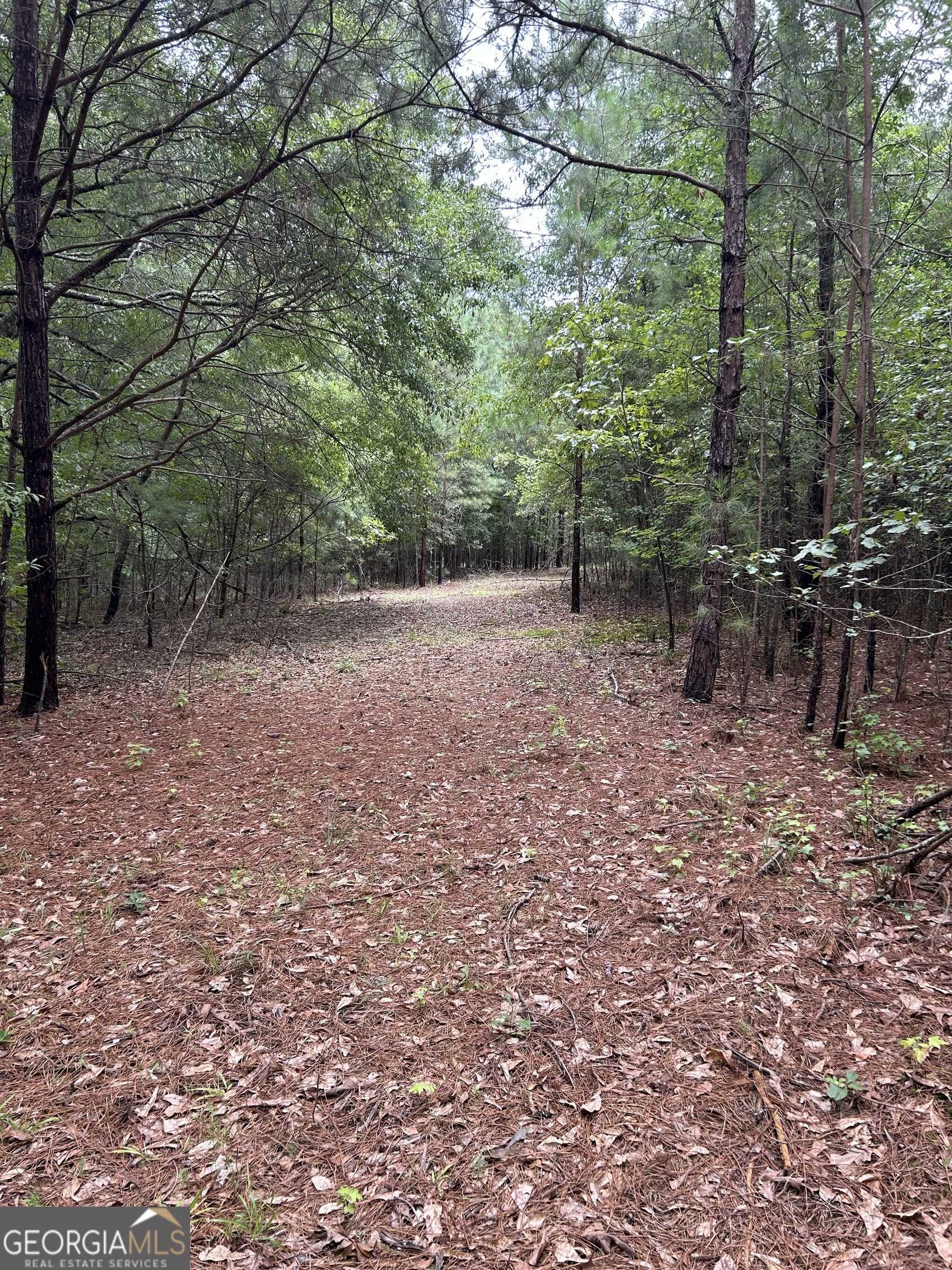 photo 3: Callaway Road, Fayetteville GA 30215