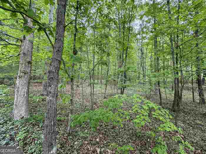 photo 1: LOT 13 Teel Mountain Drive, Cleveland GA 30528