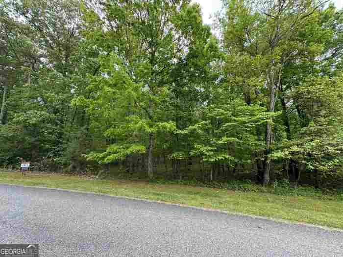 photo 7: LOT 13 Teel Mountain Drive, Cleveland GA 30528