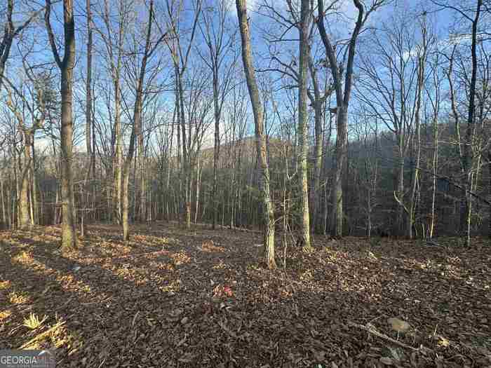 photo 1: LOT 55 Teel Mtn Drive, Cleveland GA 30528