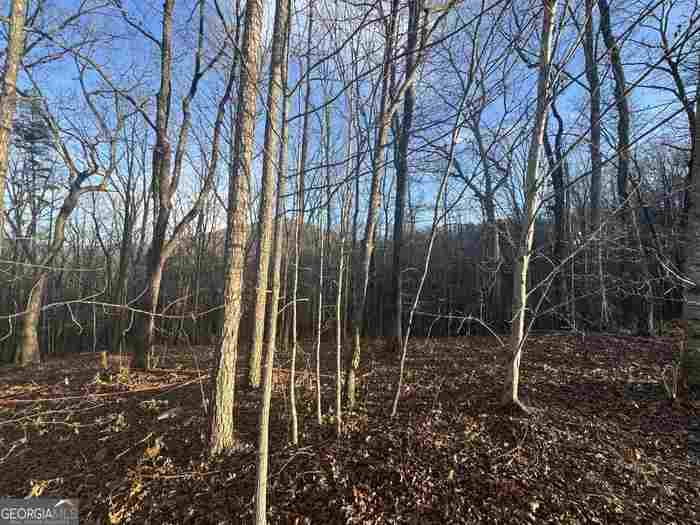 photo 2: LOT 55 Teel Mtn Drive, Cleveland GA 30528