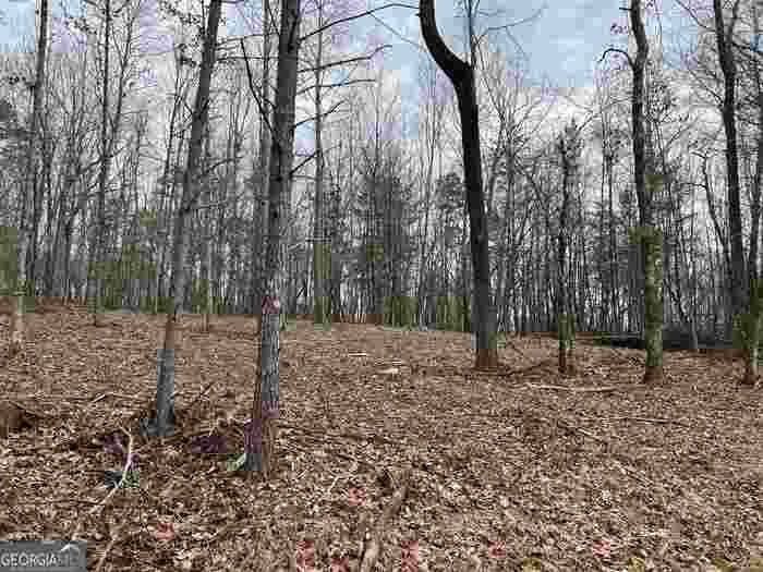 photo 2: LOT 108 Sautee Trace Unit 108, Clarkesville GA 30523