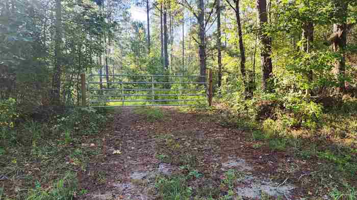 photo 1: 137.36 Lower Blue Springs Road, Hamilton GA 31811