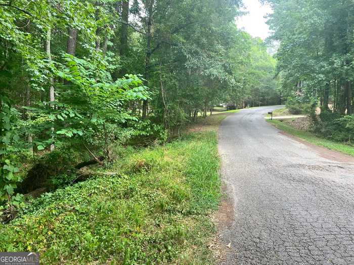 photo 2: Runner Road, Monticello GA 31064