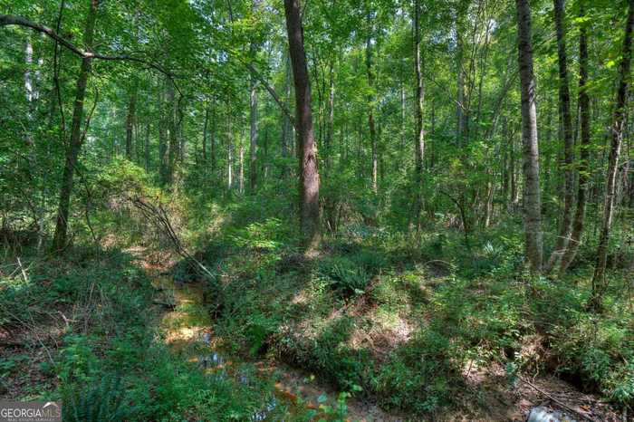 photo 2: Randall Creek Drive, Canton GA 30115