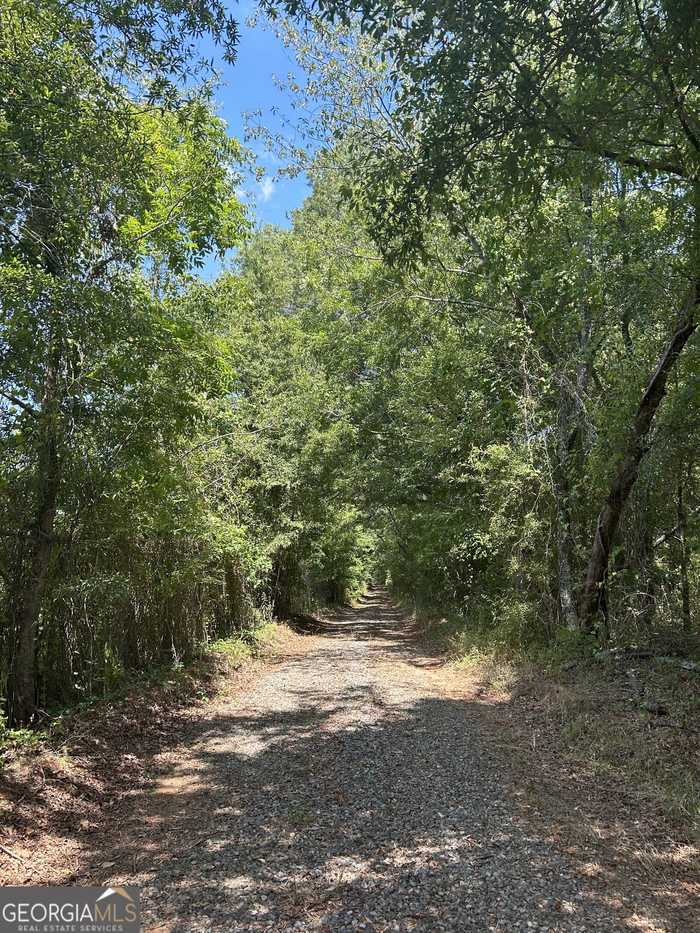 photo 10: McKenzie rd, Montezuma GA 31063