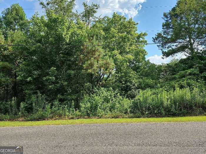 photo 1: Ivy Drive Unit LOT 5, Ellijay GA 30540