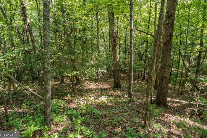 photo 2: LOT 305 Seneca Drive Unit 305, Ellijay GA 30540