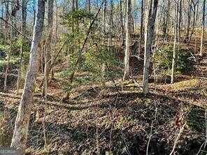 photo 1: 50 Old Stamp Mill Road, Dahlonega GA 30533