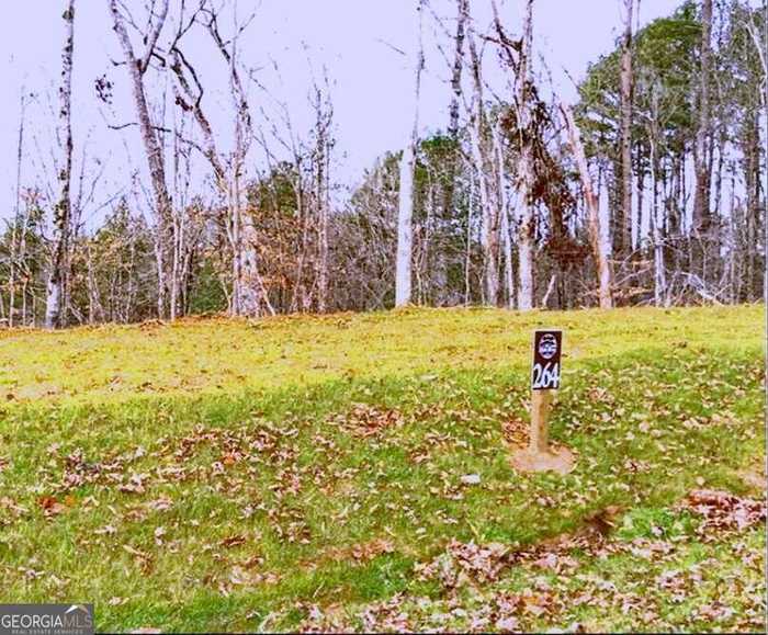 photo 2: LOT264 Riverview Trail, Ellijay GA 30540