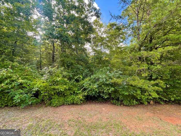 photo 1: LOT 118 Beech Tree Drive, Ellijay GA 30540