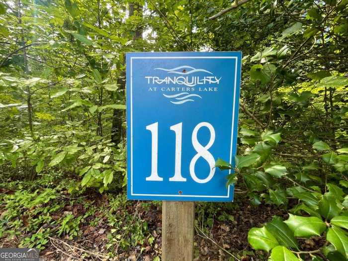 photo 2: LOT 118 Beech Tree Drive, Ellijay GA 30540