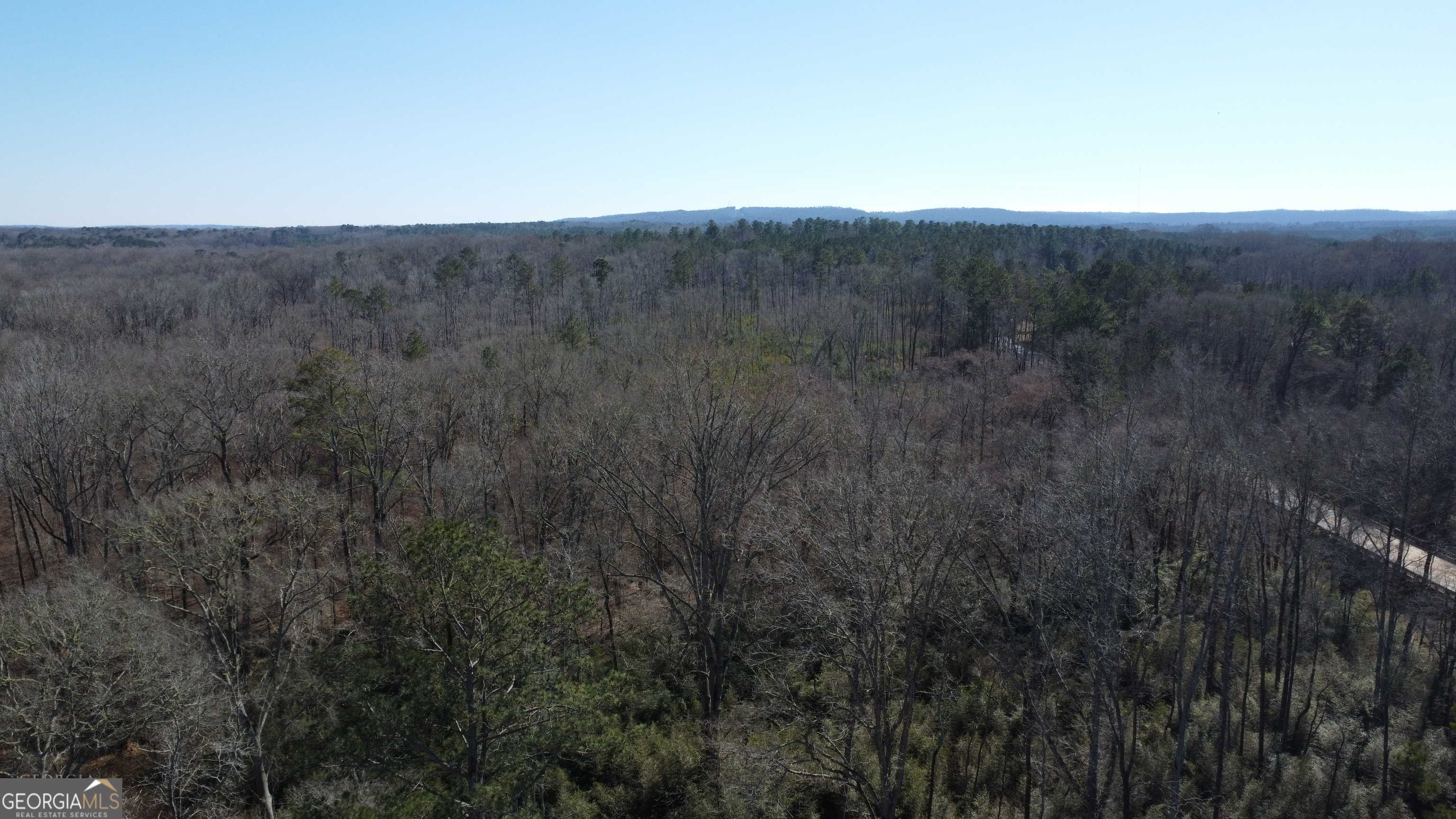 photo 2: 0-2 Roosevelt Highway, Warm Springs GA 31830