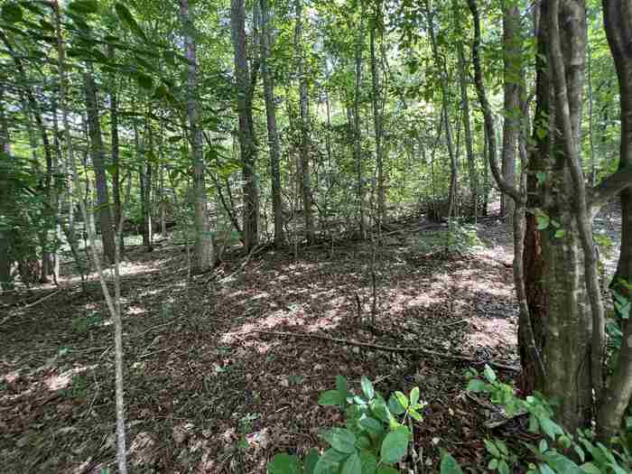 photo 1: LOT 3 Sautee Ridge Road, Clarkesville GA 30523